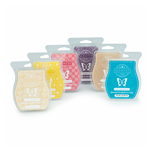 6 Pack Scentsy Bars