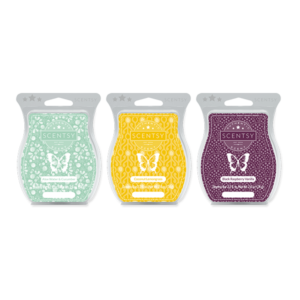 Scentsy Bars