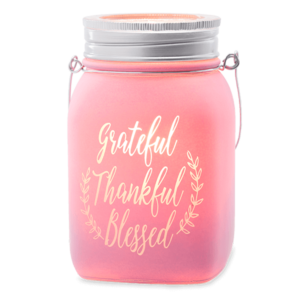 Grateful, Thankful, Blessed Warmer