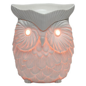 Whoot Scentsy Warmer