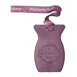 Welcome Home Scentsy Car Bar