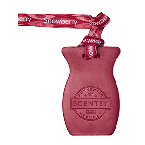 Snowberry Scentsy Car Bar