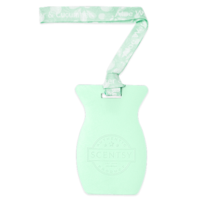 Aloe Water & Cucumber Scentsy Car Bar