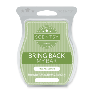 Mad About Mint Scentsy Bar | BBMB | Scentsy Bring Back My Bar January 2020