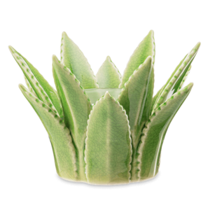 Aloe Vera Scentsy Warmer