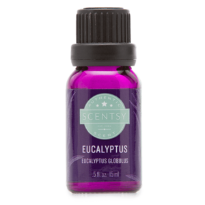 Eucalyptus 100% Pure Essential Oil