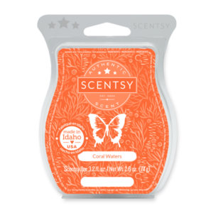 Coral Waters Scentsy Bar