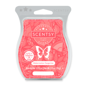 Watermelon Tangerine Scentsy Bar