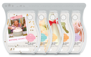 The Moment by Moment Scentsy Wax Collection