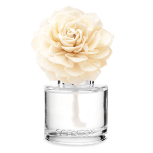Very Snowy Spruce Fragrance Flower - Dahlia Darling