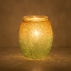Along the Beach Scentsy Warmer