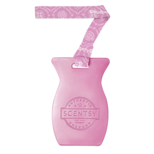 Cloudberry Dreams Scentsy Car Bar