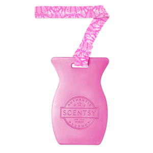 Pink Sugarberry Mint Scentsy Car Bar