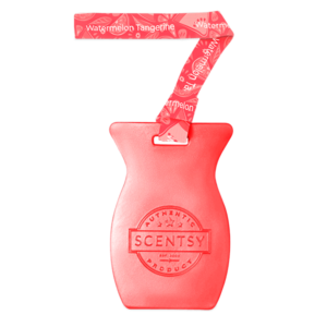 Watermelon Tangerine Scentsy Car Bar