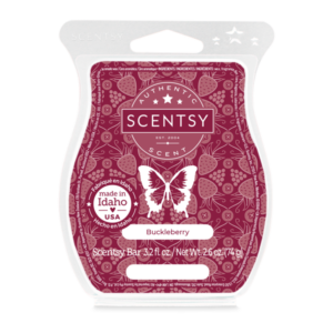 Buckleberry Scentsy Bar