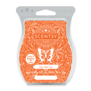 Hey, Tiger Lily Scentsy Bar