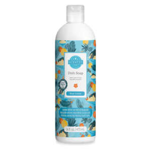 Blue Grotto Scentsy Dish Soap