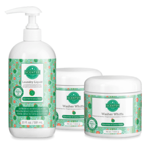 Cucumber & Cactus Water Laundry Bundle