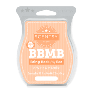 A Wink & A Smile Scentsy Bar