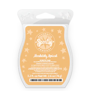 Absolutely Apricot Scentsy Bar