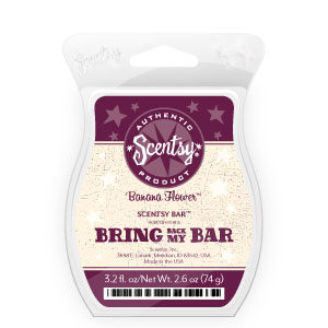 Banana Flower Scentsy Bar