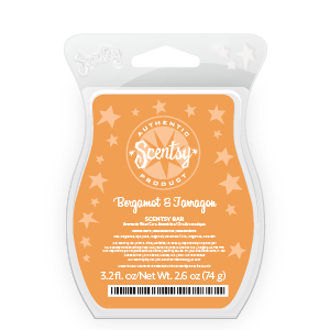 Bergamot & Tarragon Scentsy Bar