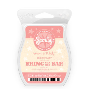 Berries & Bubbly Scentsy Bar