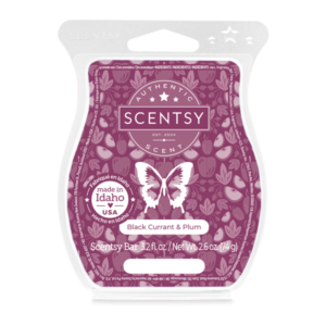 Black Currant & Plum Scentsy Bar