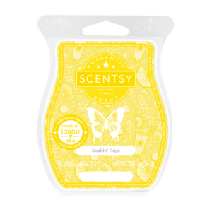 Soakin’ Rays Scentsy Bar