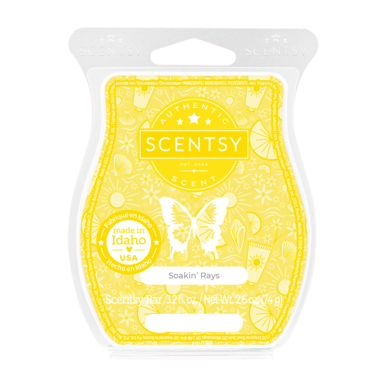 Soakin’ Rays Scentsy Bar