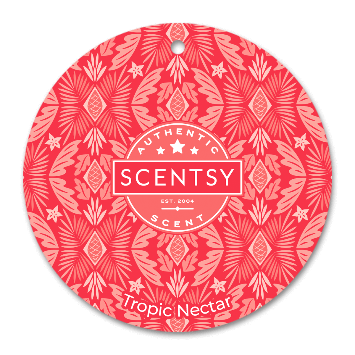 Scents of the Season Scentsy Wax Bar Collection - The Safest Candles